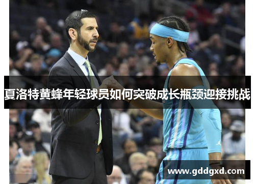 夏洛特黄蜂年轻球员如何突破成长瓶颈迎接挑战