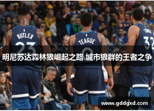 明尼苏达森林狼崛起之路 城市狼群的王者之争