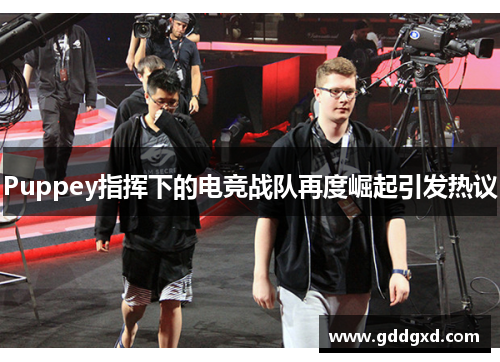 Puppey指挥下的电竞战队再度崛起引发热议