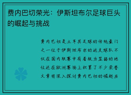 费内巴切荣光：伊斯坦布尔足球巨头的崛起与挑战